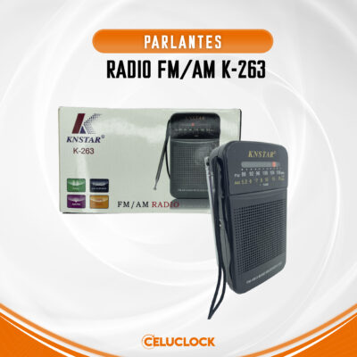RADIO FM/AM K-263